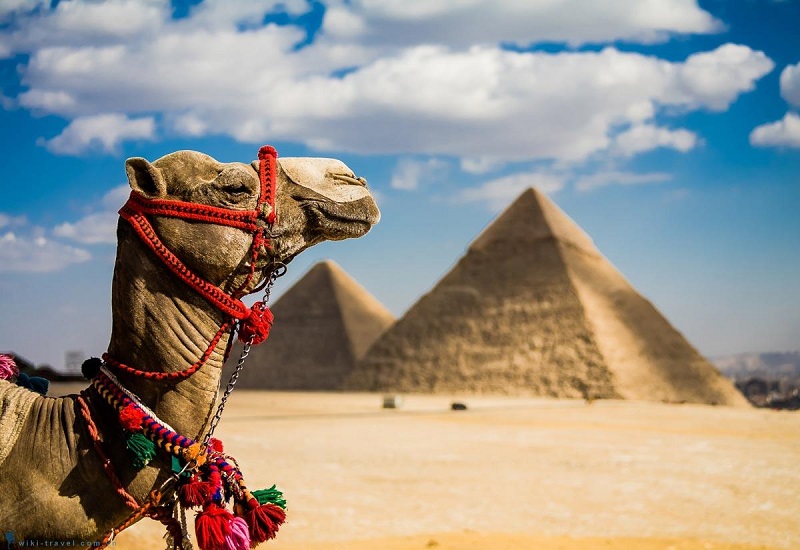 Kinh nghiệp du lịch Ai Cập, khám phá nền văn hóa cổ đại thế giới