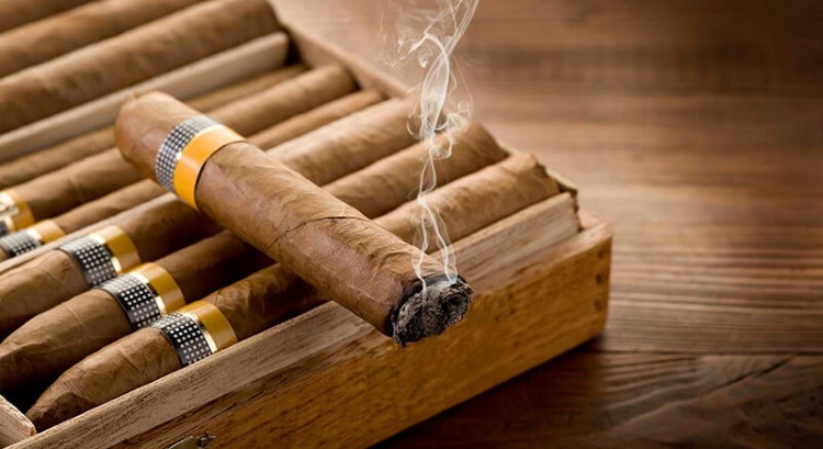 Xì gà là một loại thuốc lá được sấy khô và bó